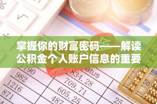 循化掌握你的财富密码——解读公积金个人账户信息的重要性