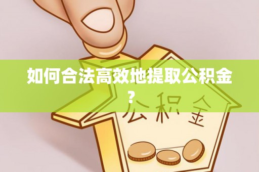 循化如何合法高效地提取公积金？
