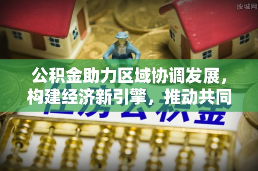 循化公积金助力区域协调发展，构建经济新引擎，推动共同富裕