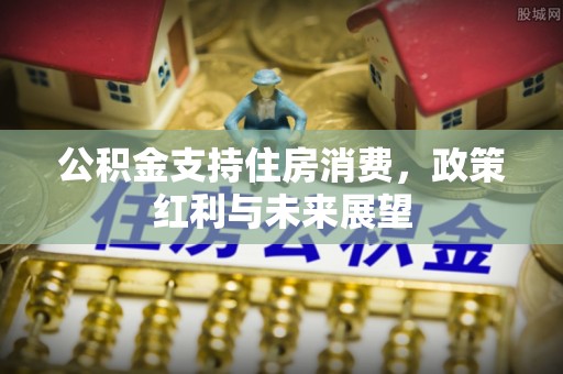 循化公积金支持住房消费，政策红利与未来展望