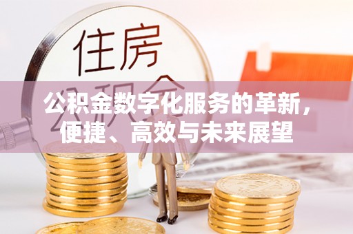 循化公积金数字化服务的革新，便捷、高效与未来展望