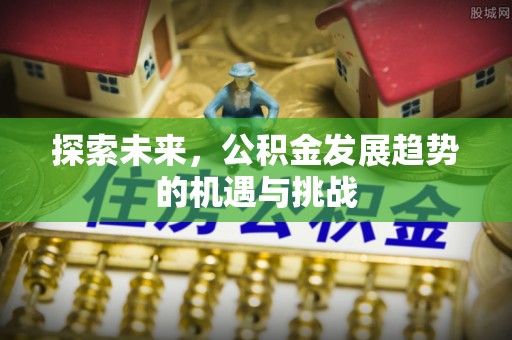 循化探索未来，公积金发展趋势的机遇与挑战