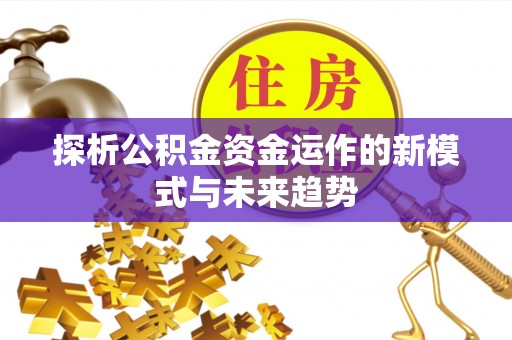 循化探析公积金资金运作的新模式与未来趋势