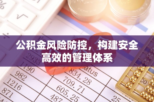 循化公积金风险防控，构建安全高效的管理体系