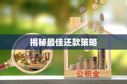 循化揭秘最佳还款策略