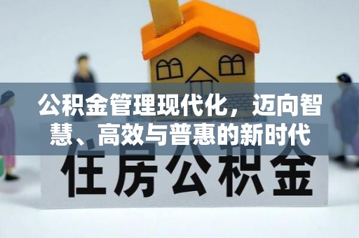循化公积金管理现代化，迈向智慧、高效与普惠的新时代