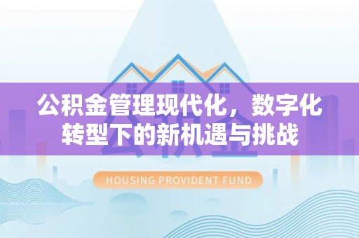循化公积金管理现代化，数字化转型下的新机遇与挑战