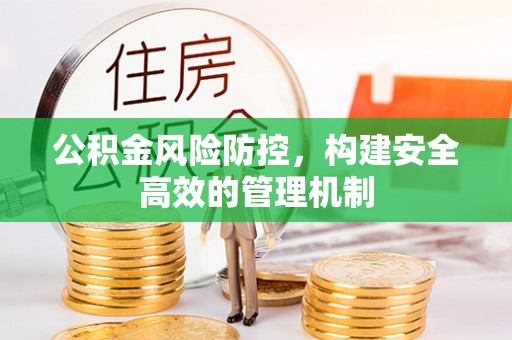 循化公积金风险防控，构建安全高效的管理机制
