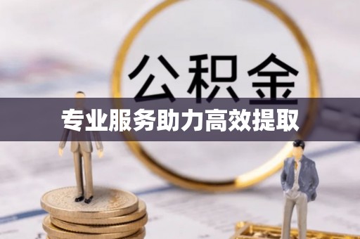 循化专业服务助力高效提取