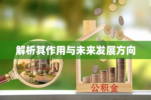 循化解析其作用与未来发展方向