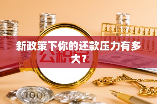循化新政策下你的还款压力有多大？