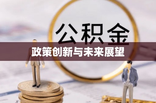 循化政策创新与未来展望