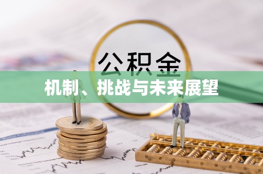 循化机制、挑战与未来展望